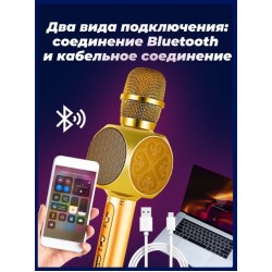 Микрофон караоке беспроводной Dreamx electronic